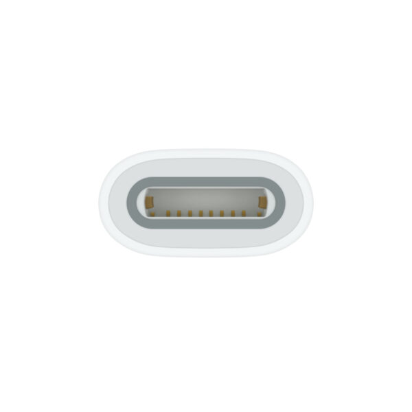 Apple USB-C To Apple Pencil Adapter - Image 2