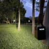 Person in a park at dusk holding a small black device with a digital display.